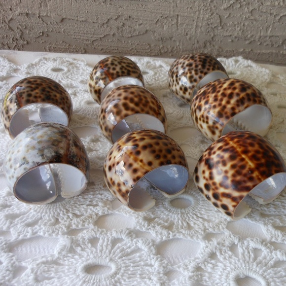 Vintage | Dining | Cowrie Shell Napkin Rings Beachy Boho Table | Poshmark